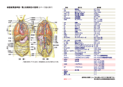 検査結果基準値一覧（PDF 438KB