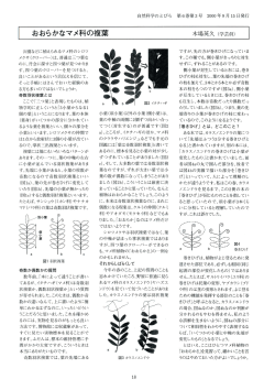 本文PDF