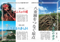 恵みある土壌で、太陽の光をい っぱ いに浴びた彩り鮮やかな農産物