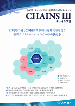 向け基幹MDパッケージ チェインズⅢ チェインズⅢ IT戦略の礎となり国内