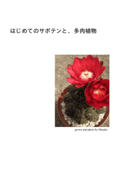 初めてのサボテンと多肉植物
