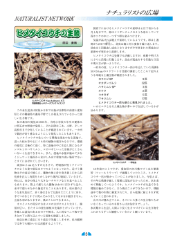 この水生昆虫は何故か日本では我が兵庫県の南部と愛知 県とその隣接