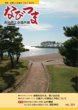 「なびつま」 2009年1月号 （PDFファイル）