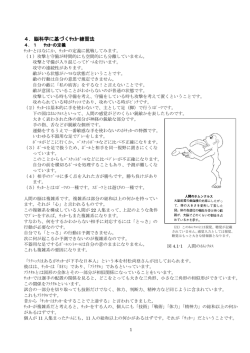 4．脳科学に基づくｻｯｶｰ練習法