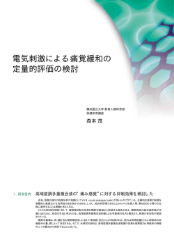 電気刺激による痛覚緩和の 定量的評価の検討