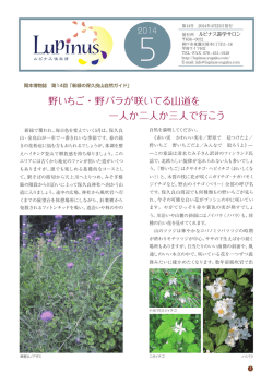 野いちご・野バラが咲いてる山道を 一人か二人か三人で行こう