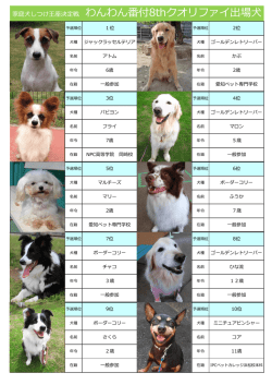 出場犬の写真紹介はこちら
