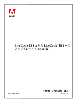LiveCycle ES2