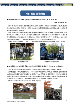 MBI 関西 活動報告