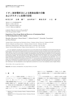 イオン液体電析法による鉄族金属の分離 およびネオジム
