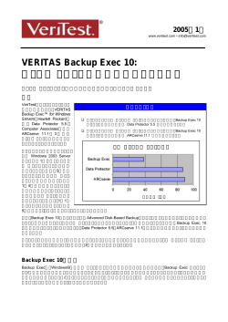 VERITAS Backup Exec 10: ディスク リストア処理性能のベンチマーク
