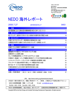 NEDO 海外レポート