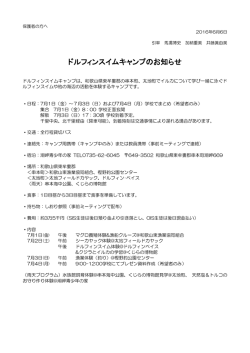 ドルフィンスイムキャンプのお知らせ
