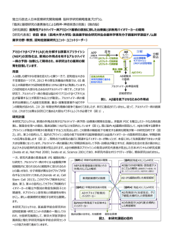 独立行政法人日本医療研究開発機構 脳科学研究戦略推進プログラム