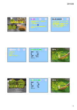 ～B級品野菜の利用～