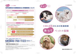 コース50 - ペット保険