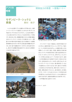 アフリカ - 有限会社アールディーアイ