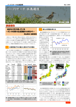水鳥通信 - バードリサーチ / Bird Research