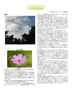 こちら - トロント日本商工会