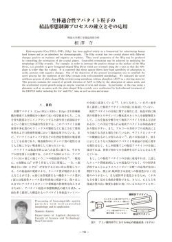 生体適合性アパタイト粒子の 結晶形態制御プロセスの確立とその応用