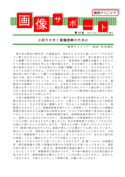 第23号