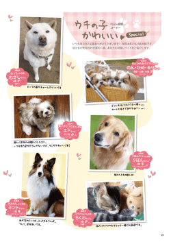 24-32 - エリート情報社