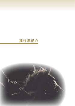 種牡馬紹介