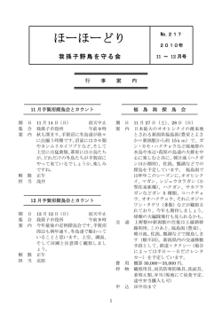 No.217 11 ～ 12 月