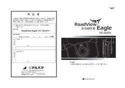 Roadview Eagle