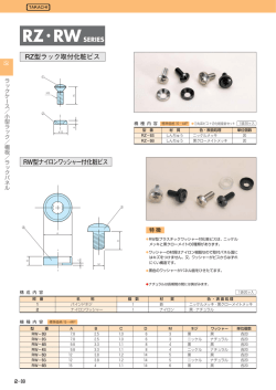 RWSERIES RZ型ラック取付化粧ビス RW型ナイロンワッシャー付化粧ビス