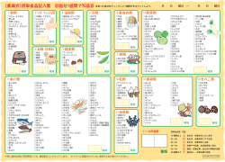 （廣瀬式）摂取食品記入票 目指せ1週間で70品目