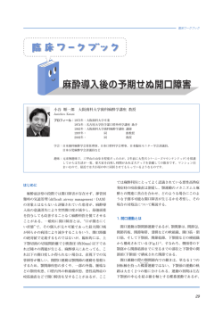 PDFをダウンロード（528 KB）