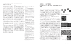 装飾性の今日的展開 ―マイケル・ブレナンド