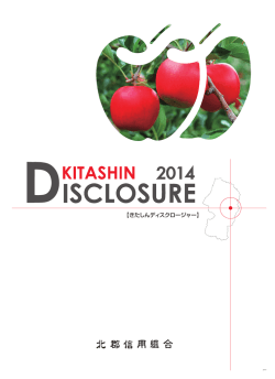 通期ディスクロージャー