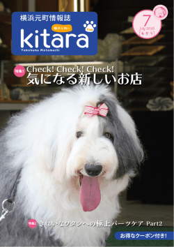 気になる新しいお店 - 横浜元町情報誌 Kitara