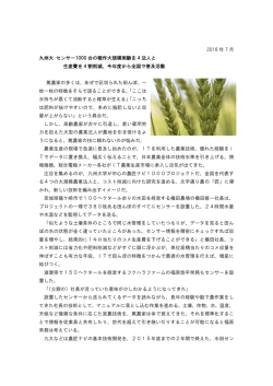2016 年 7 月 九州大 センサー1000 台の稲作大規模実験を 4 法人と