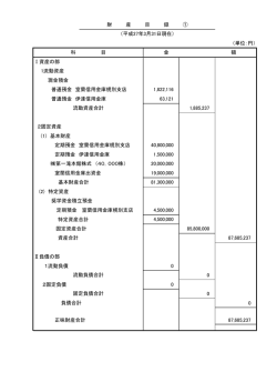 特定資産合計 Ⅱ負債の部 1流動負債 0 0 2固定負債 0 0 0 87,685,237
