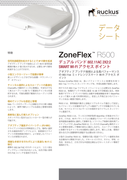 ZoneFlex™ R500