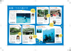 楽園パラオの遊び方 - palau divers net