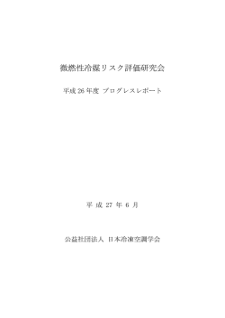 日本語中間報告書 - 日本冷凍空調学会