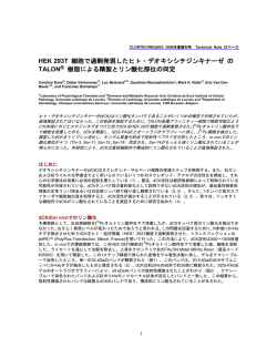 HEK 293T 細胞で過剰発現したヒト・デオキシシチジンキナーゼ の