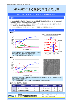 この分析事例のPDFファイルを開く