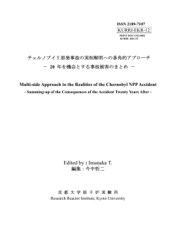 年を機会とする事故被害のまとめ Pdf P 236 Multi