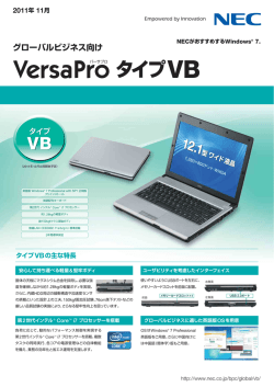 グローバルビジネス向け VsersaPro タイプVB