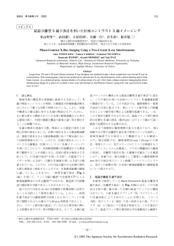 結晶分離型 X 線干渉計を用いた位相コントラスト X 線イメージング