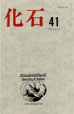 第41号（1986年11月）