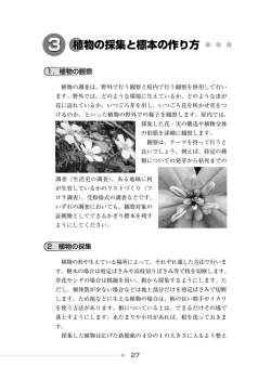 3 植物の採集と標本の作り方 - 兵庫県立 人と自然の博物館