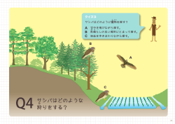 希少種保全学習教材 春を告げる里山の武者 サシバ