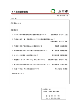 PDF：734KB