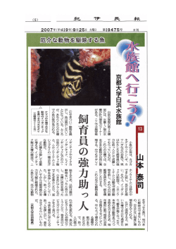 こちら